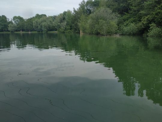 Unterschleißheimer See-3