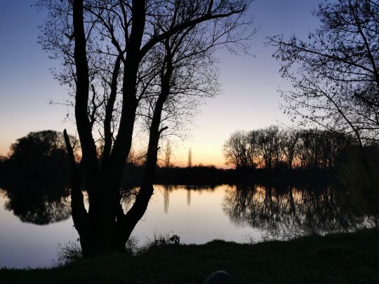 Öberauer Donauschleife-1