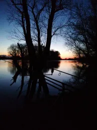 Öberauer Donauschleife