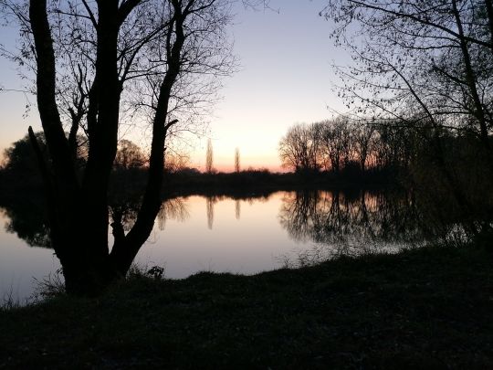 Öberauer Donauschleife-3