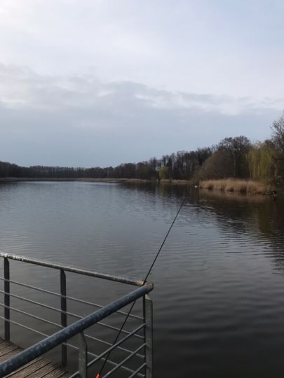 Haussee (Güterfelde)-2