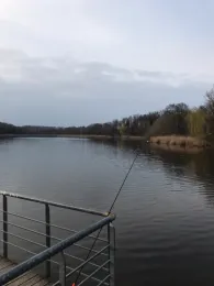 Haussee (Güterfelde)-3