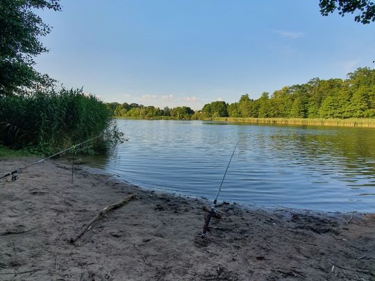 Haussee (Güterfelde)-3