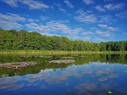 Haussee (Güterfelde)-4
