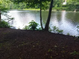 Kaiserteich (Oldenburg)-2