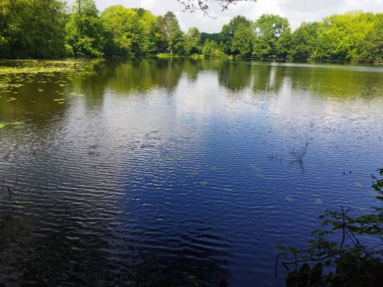 Kaiserteich (Oldenburg)-3