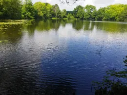 Kaiserteich (Oldenburg)-3