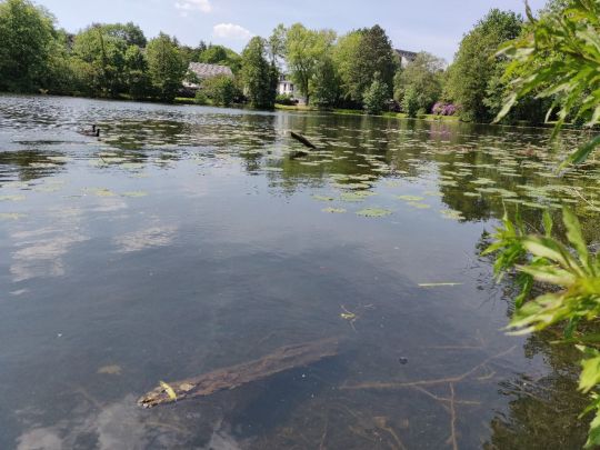Kaiserteich (Oldenburg)-1