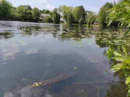 Kaiserteich (Oldenburg)-1