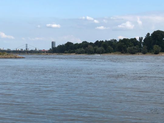 Rhein (Kaiserswerth-Wittlaer)-4