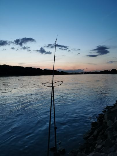 Rhein (Kaiserswerth-Wittlaer)-2