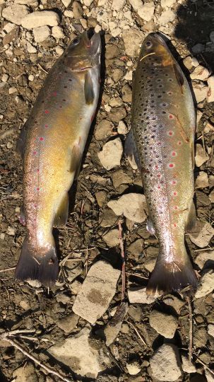 Oberer Einersberger Teich