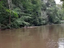 Weiße Elster (Leipzig)-2