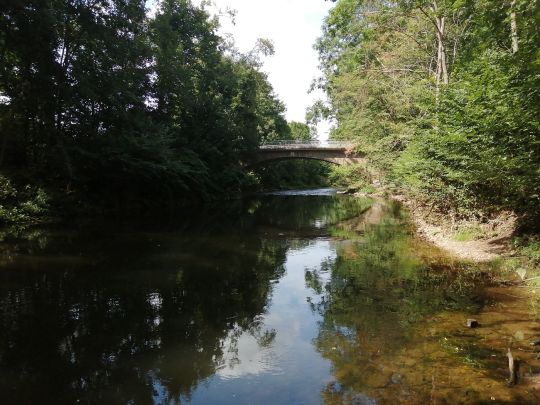 Weiße Elster (Leipzig)-4