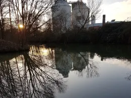 Weiße Elster (Leipzig)-3