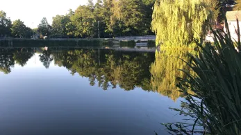 Gondelteich Bad Klosterlausnitz-1