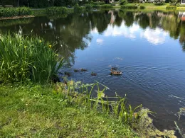 Gondelteich Bad Klosterlausnitz-2