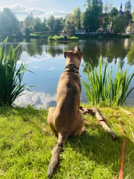 Gondelteich Bad Klosterlausnitz