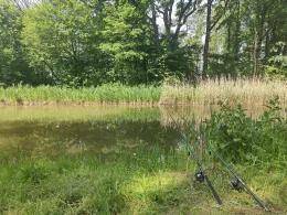 Ludwig-Donau-Main-Kanal (Rasch)-3