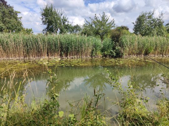 Ludwig-Donau-Main-Kanal (Rasch)-4
