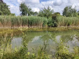 Ludwig-Donau-Main-Kanal (Rasch)-4