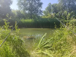 Ludwig-Donau-Main-Kanal (Rasch)-3