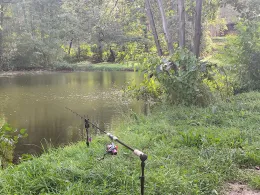 Teichanlage Woosmerhof-3