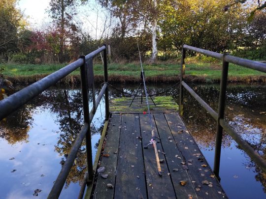 Teichanlage Woosmerhof-4