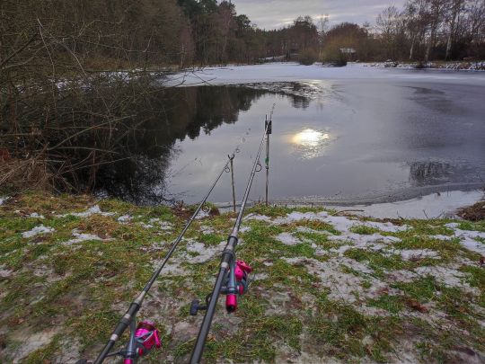 Teichanlage Woosmerhof-1