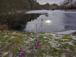 Teichanlage Woosmerhof-1