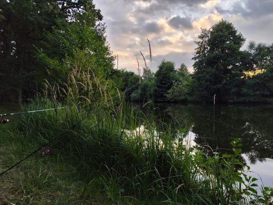 Teichanlage Woosmerhof-2