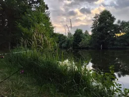 Teichanlage Woosmerhof-2