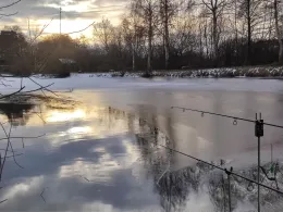 Teichanlage Woosmerhof