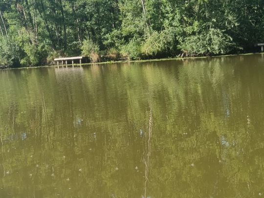 Maas (Lottum)-1