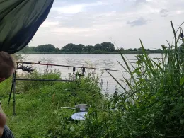 Altmühlsee (Gunzenhausen)-4