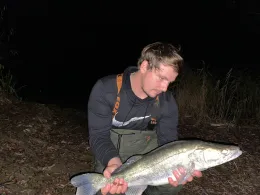 Altmühlsee (Gunzenhausen)-1