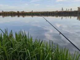 Altmühlsee (Gunzenhausen)-3