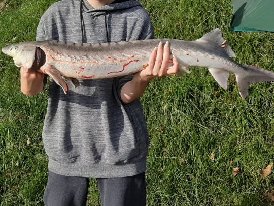 Toniforelli Oldenburger Land-4