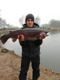 Toniforelli Oldenburger Land