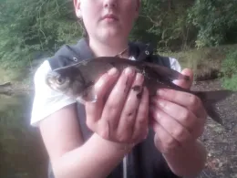 Kolk am Wasserwerk (Leer)