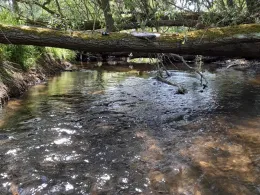 Wallensteingraben (Dorf Mecklenburg)