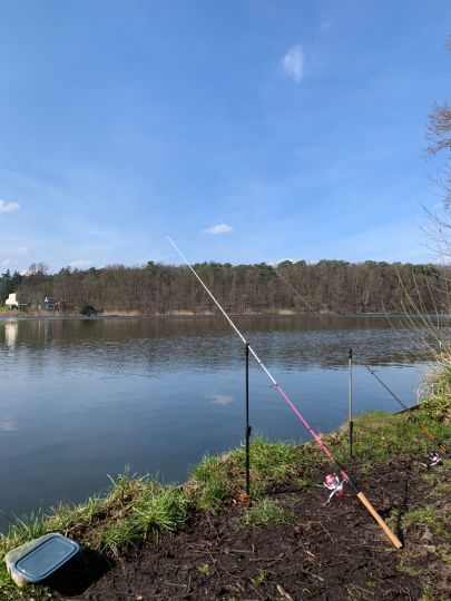 Möllensee (Grünheide)-2