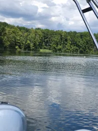 Möllensee (Grünheide)-4