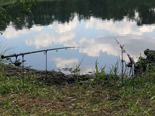 Möllensee (Grünheide) angeln