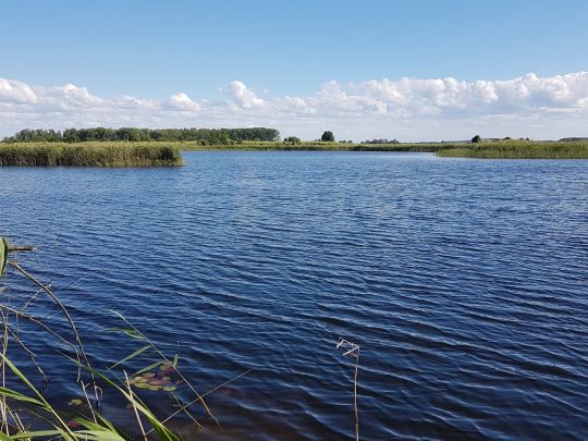 Torfstiche im Roskower Lötz-1