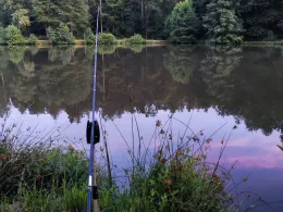 Krötenweiher (Linsengericht)