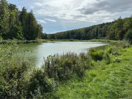 Paulinensee (Mönsheim)-1
