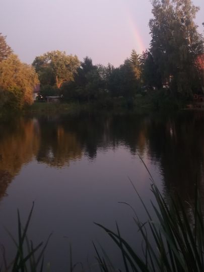 Dorfteich Ducherow