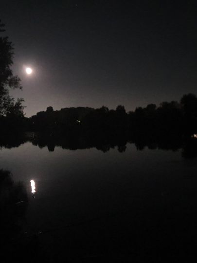 Main (Flörsheim / Rüsselsheim)-3