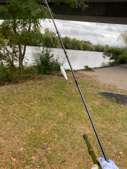 Main (Flörsheim / Rüsselsheim)-1